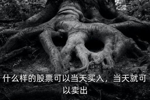 什么樣的股票可以當(dāng)天買入，當(dāng)天就可以賣出