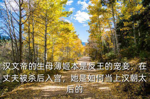 漢文帝的生母薄姬本是反王的寵妾，在丈夫被殺后入宮，她是如何當上漢朝太后的