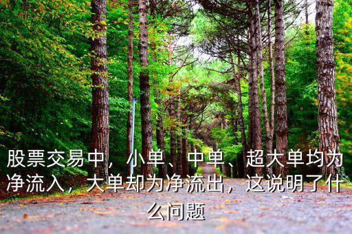 股票交易中，小單、中單、超大單均為凈流入，大單卻為凈流出，這說(shuō)明了什么問(wèn)題