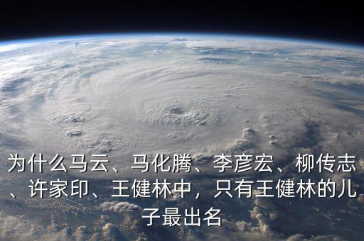 為什么馬云、馬化騰、李彥宏、柳傳志、許家印、王健林中，只有王健林的兒子最出名
