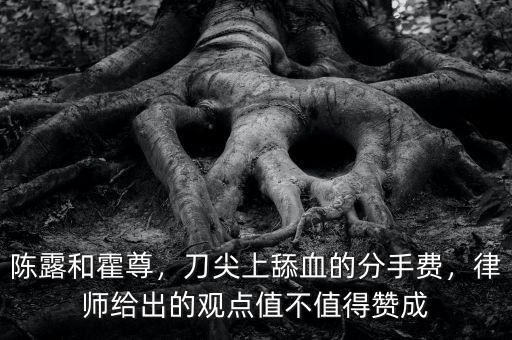 陳露和霍尊，刀尖上舔血的分手費(fèi)，律師給出的觀點(diǎn)值不值得贊成