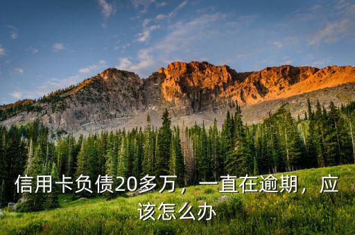 信用卡負(fù)債20多萬，一直在逾期，應(yīng)該怎么辦