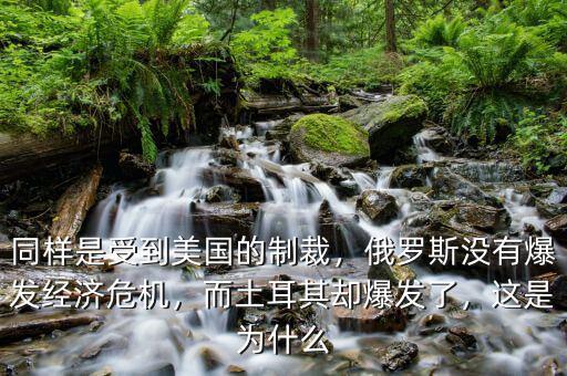 同樣是受到美國的制裁，俄羅斯沒有爆發(fā)經(jīng)濟(jì)危機(jī)，而土耳其卻爆發(fā)了，這是為什么