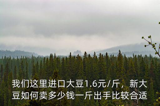我們這里進(jìn)口大豆1.6元/斤，新大豆如何賣多少錢一斤出手比較合適