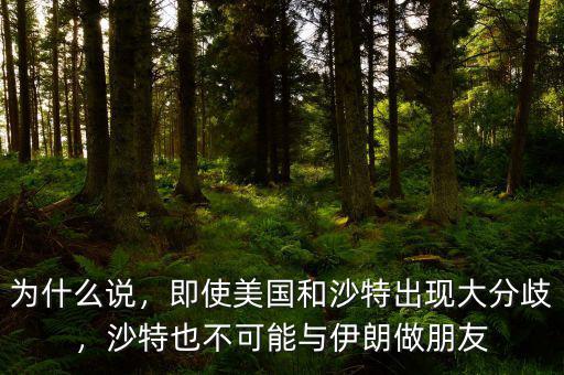 為什么說，即使美國和沙特出現(xiàn)大分歧，沙特也不可能與伊朗做朋友