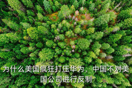 為什么美國(guó)瘋狂打壓華為，中國(guó)不對(duì)美國(guó)公司進(jìn)行反制
