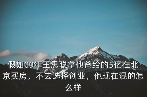 假如09年王思聰拿他爸給的5億在北京買房，不去選擇創(chuàng)業(yè)，他現(xiàn)在混的怎么樣