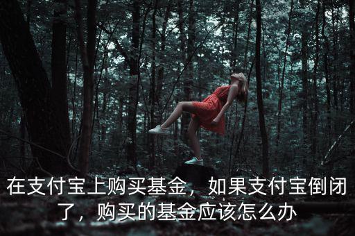 在支付寶上購買基金，如果支付寶倒閉了，購買的基金應(yīng)該怎么辦