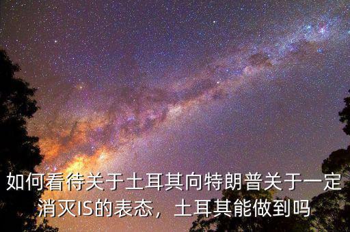 如何看待關(guān)于土耳其向特朗普關(guān)于一定消滅IS的表態(tài)，土耳其能做到嗎