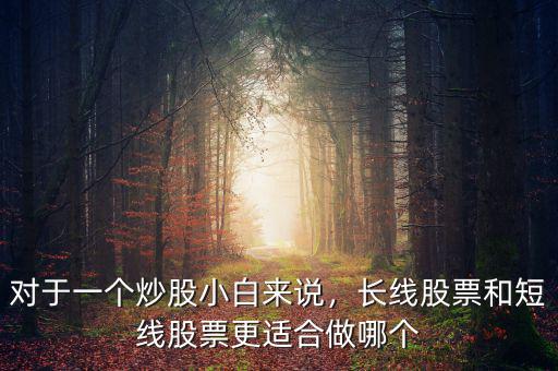 對于一個(gè)炒股小白來說，長線股票和短線股票更適合做哪個(gè)