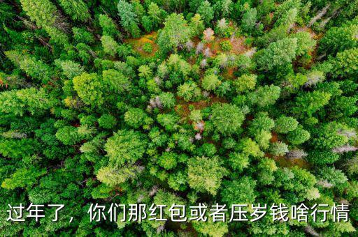 過年了，你們那紅包或者壓歲錢啥行情