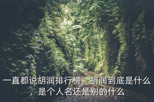 一直都說(shuō)胡潤(rùn)排行榜，胡潤(rùn)到底是什么，是個(gè)人名還是別的什么
