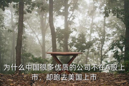 為什么中國很多優(yōu)質(zhì)的公司不在A股上市，卻跑去美國上市