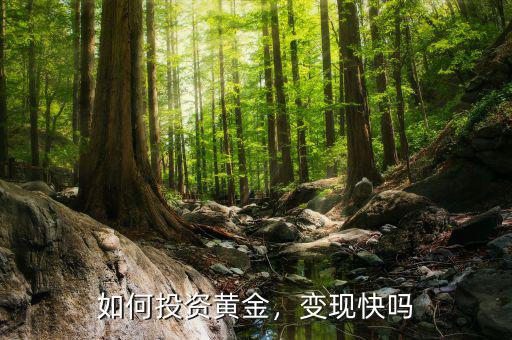 如何投資黃金，變現(xiàn)快嗎