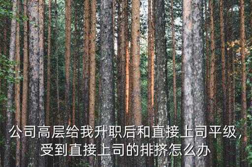 公司高層給我升職后和直接上司平級(jí)，受到直接上司的排擠怎么辦