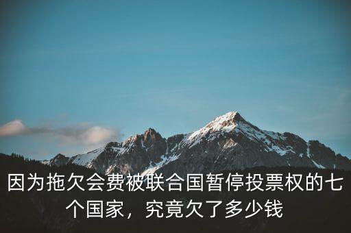 因為拖欠會費被聯(lián)合國暫停投票權的七個國家，究竟欠了多少錢