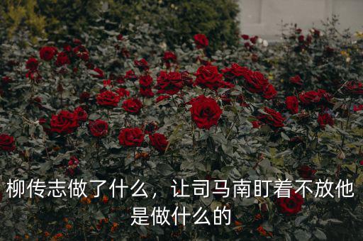 柳傳志做了什么，讓司馬南盯著不放他是做什么的