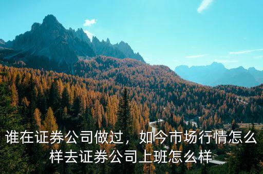 誰在證券公司做過，如今市場行情怎么樣去證券公司上班怎么樣
