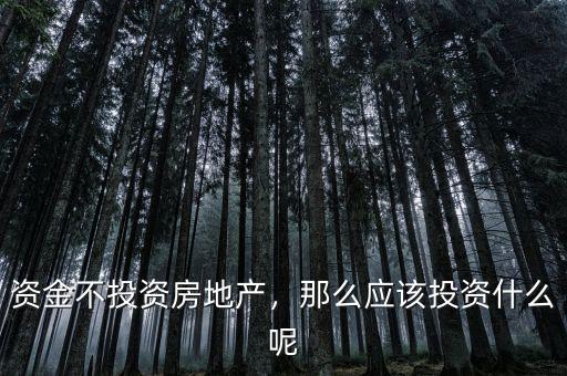 資金不投資房地產(chǎn)，那么應(yīng)該投資什么呢