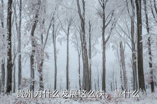 貴州為什么發(fā)展這么快，靠什么
