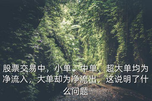 股票交易中，小單、中單、超大單均為凈流入，大單卻為凈流出，這說明了什么問題
