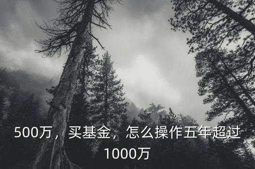 500萬，買基金，怎么操作五年超過1000萬