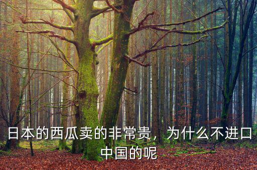 日本的西瓜賣的非常貴，為什么不進口中國的呢