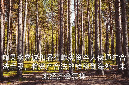如果李嘉誠(chéng)和潘石屹類資夲大佬通過合法手段，將資產(chǎn)合法的轉(zhuǎn)移到海外，未來(lái)經(jīng)濟(jì)會(huì)怎樣