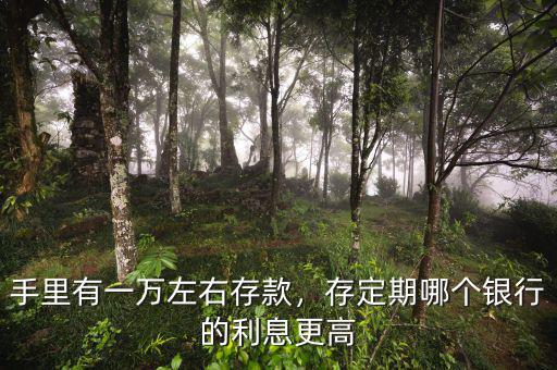 手里有一萬左右存款，存定期哪個銀行的利息更高