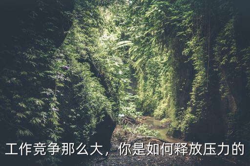 工作競(jìng)爭(zhēng)那么大，你是如何釋放壓力的