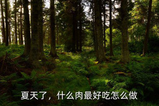 夏天了，什么肉最好吃怎么做