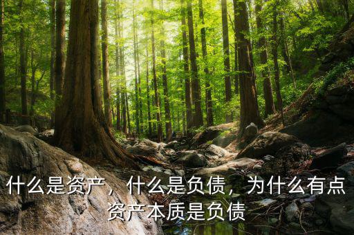 什么是資產(chǎn)，什么是負債，為什么有點資產(chǎn)本質(zhì)是負債