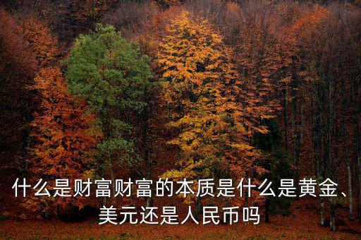 什么是財富財富的本質(zhì)是什么是黃金、美元還是人民幣嗎