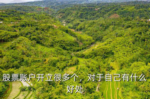 股票賬戶開立很多個(gè)，對(duì)于自己有什么好處