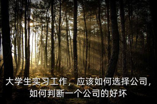 大學(xué)生實(shí)習(xí)工作，應(yīng)該如何選擇公司，如何判斷一個(gè)公司的好壞
