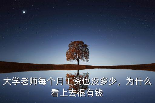 大學老師每個月工資也沒多少，為什么看上去很有錢