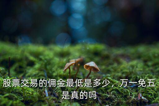 股票交易的傭金最低是多少，萬一免五是真的嗎