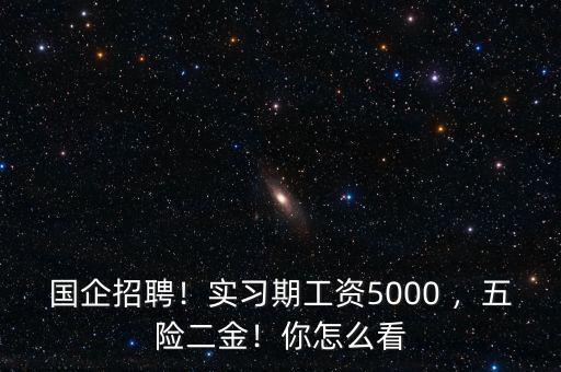國企招聘！實習期工資5000 ，五險二金！你怎么看