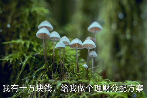 我有十萬塊錢，給我做個(gè)理財(cái)分配方案