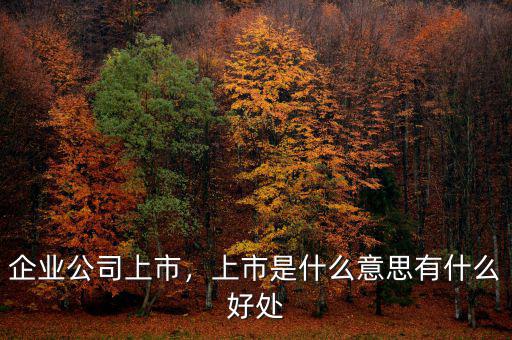 企業(yè)公司上市，上市是什么意思有什么好處