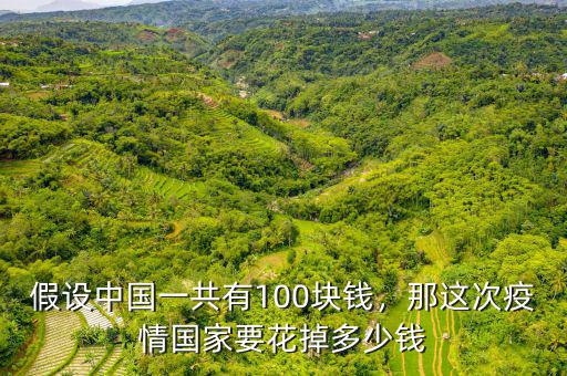 假設(shè)中國一共有100塊錢，那這次疫情國家要花掉多少錢