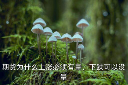 期貨為什么上漲必須有量，下跌可以沒量