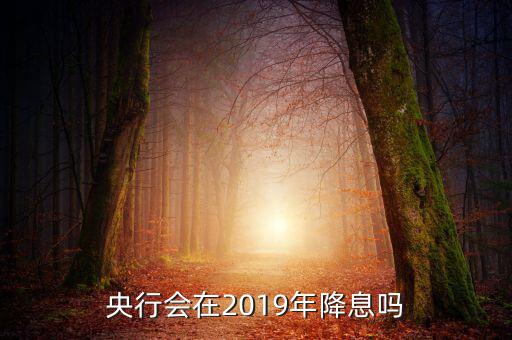 央行會在2019年降息嗎