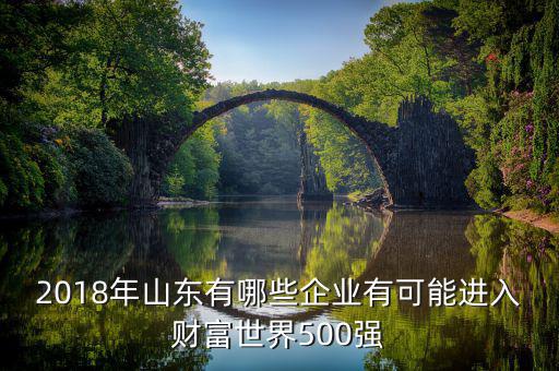 2018年山東有哪些企業(yè)有可能進入財富世界500強