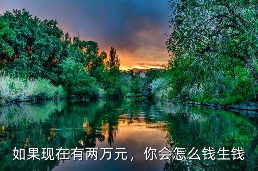 如果現(xiàn)在有兩萬元，你會怎么錢生錢