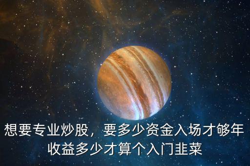 想要專業(yè)炒股，要多少資金入場才夠年收益多少才算個入門韭菜
