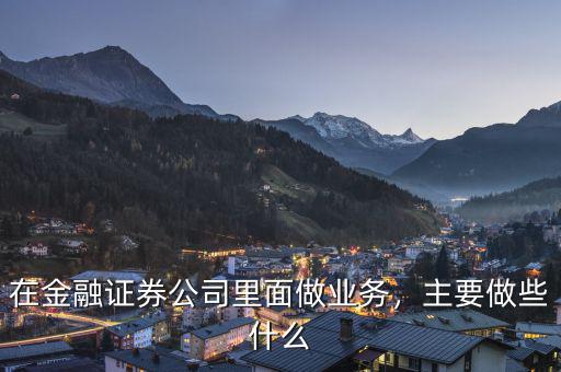 在金融證券公司里面做業(yè)務(wù)，主要做些什么