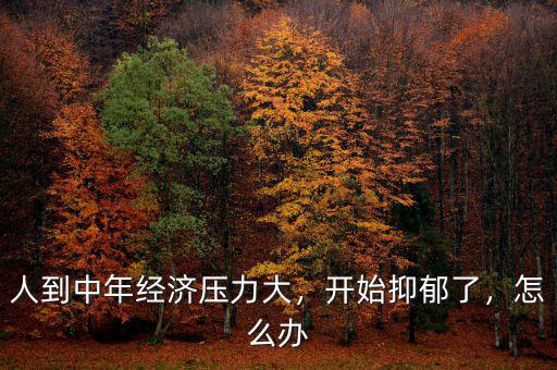 人到中年經(jīng)濟(jì)壓力大，開始抑郁了，怎么辦