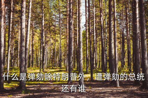 什么是彈劾除特朗普外，遭彈劾的總統(tǒng)還有誰(shuí)