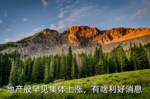 地產(chǎn)股罕見集體上漲，有啥利好消息